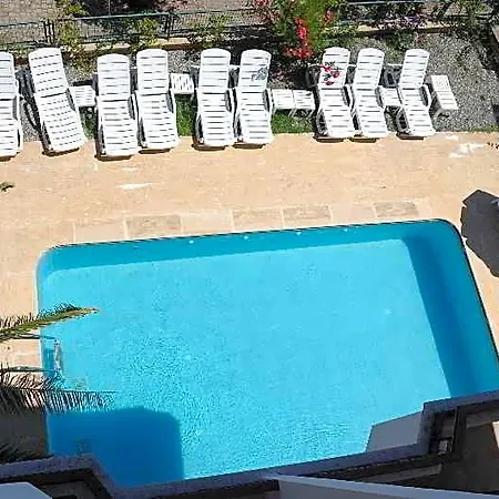 Nerium Marmaris